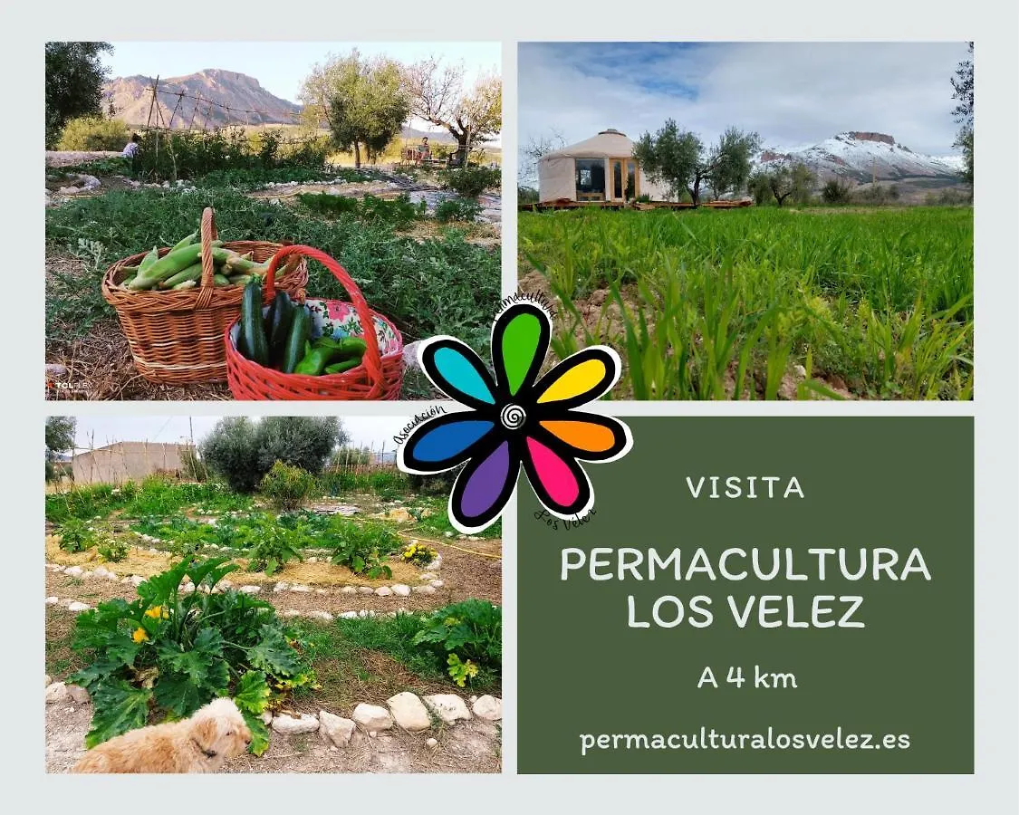 La Casa Viva. Alojamiento Responsable Y Sostenible. Villa Velez Blanco Holiday home